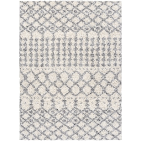 Livabliss Deluxe Shag DXS-2312 Machine Crafted Area Rug DXS2312-5373